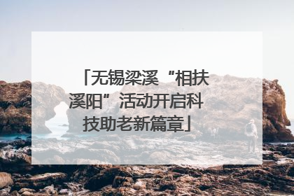 无锡梁溪“相扶溪阳”活动开启科技助老新篇章
