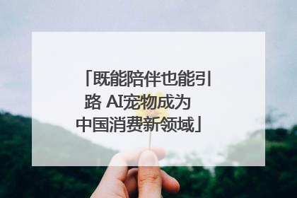 既能陪伴也能引路 AI宠物成为中国消费新领域