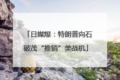 日媒爆：特朗普向石破茂“推销”美战机