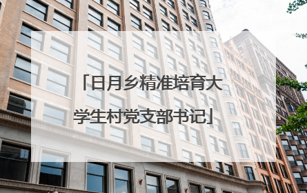 日月乡精准培育大学生村党支部书记