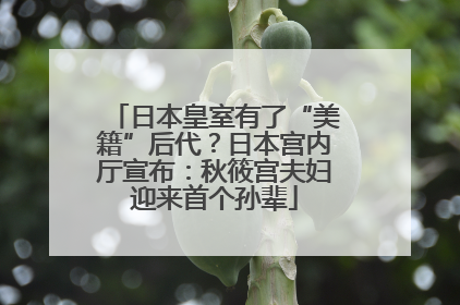 日本皇室有了“美籍”后代？日本宫内厅宣布：秋筱宫夫妇迎来首个孙辈
