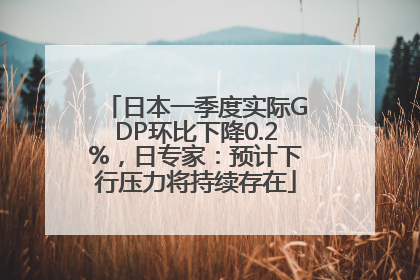 日本一季度实际GDP环比下降0.2%，日专家：预计下行压力将持续存在