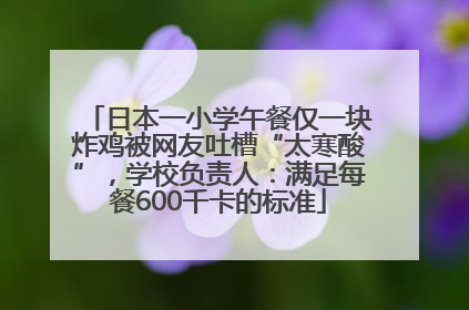 日本一小学午餐仅一块炸鸡被网友吐槽“太寒酸”，学校负责人：满足每餐600千卡的标准