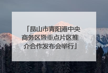 昆山市青阳港中央商务区暨重点片区推介合作发布会举行