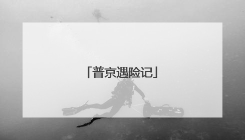 普京遇险记