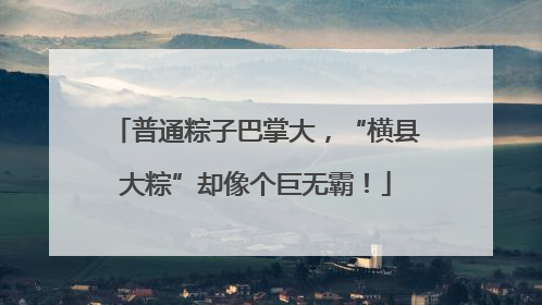 普通粽子巴掌大，“横县大粽”却像个巨无霸！