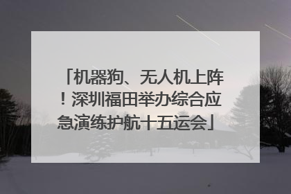 机器狗、无人机上阵！深圳福田举办综合应急演练护航十五运会