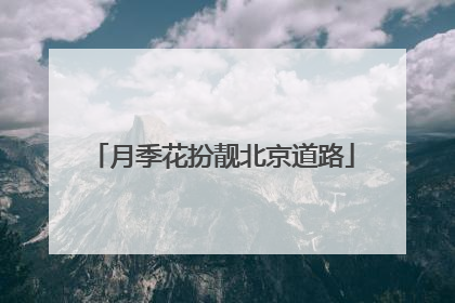月季花扮靓北京道路