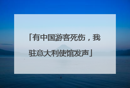 有中国游客死伤，我驻意大利使馆发声