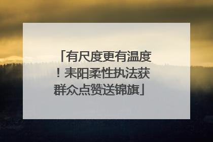 有尺度更有温度！耒阳柔性执法获群众点赞送锦旗