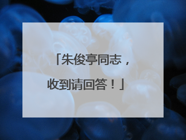 朱俊亭同志，收到请回答！