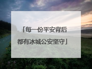 每一份平安背后 都有冰城公安坚守