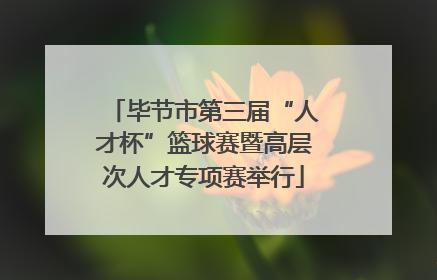 毕节市第三届“人才杯”篮球赛暨高层次人才专项赛举行