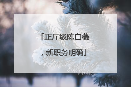 正厅级陈白薇，新职务明确