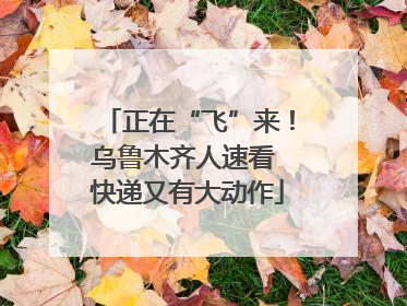 正在“飞”来！乌鲁木齐人速看 快递又有大动作