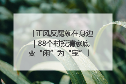 正风反腐就在身边｜88个村摸清家底变“闲”为“宝”