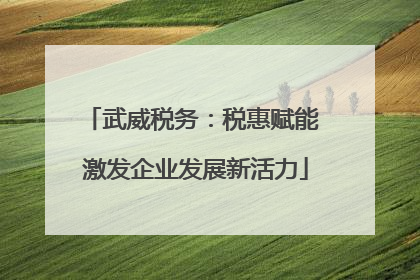 武威税务：税惠赋能 激发企业发展新活力