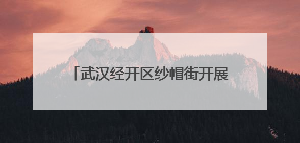 武汉经开区纱帽街开展防溺水宣传进校园活动