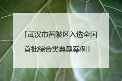 武汉市黄陂区入选全国首批综合类典型案例