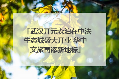 武汉开元森泊在中法生态城盛大开业 华中文旅再添新地标