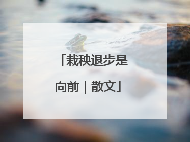 栽秧退步是向前｜散文