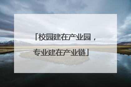 校园建在产业园，专业建在产业链