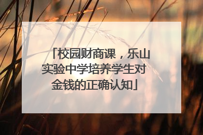校园财商课，乐山实验中学培养学生对金钱的正确认知
