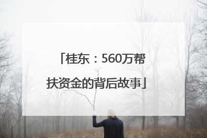 桂东：560万帮扶资金的背后故事