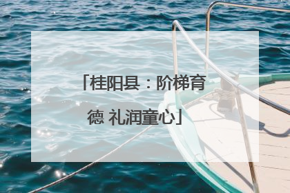 桂阳县：阶梯育德 礼润童心