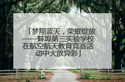 梦翔蓝天，荣耀绽放——蚌埠第三实验学校在航空航天教育竞赛活动中大放异彩