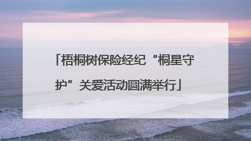 梧桐树保险经纪“桐星守护”关爱活动圆满举行