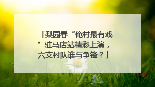 梨园春“俺村最有戏”驻马店站精彩上演，六支村队谁与争锋？