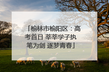 榆林市榆阳区：高考首日 莘莘学子执笔为剑 逐梦青春