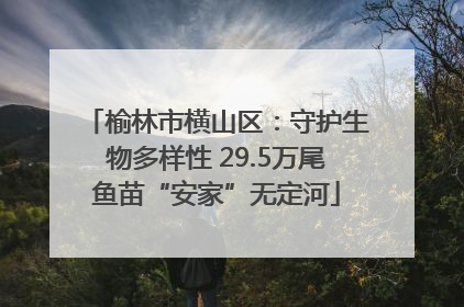 榆林市横山区：守护生物多样性 29.5万尾鱼苗“安家”无定河