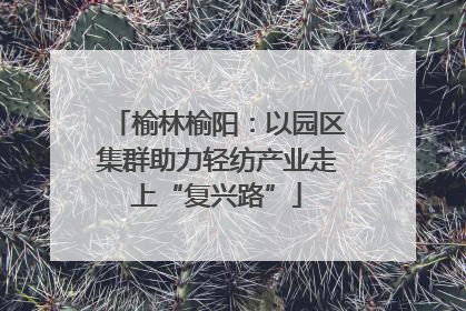 榆林榆阳：以园区集群助力轻纺产业走上“复兴路”