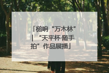 槌响“万木林”｜“天平杯·随手拍”作品展播