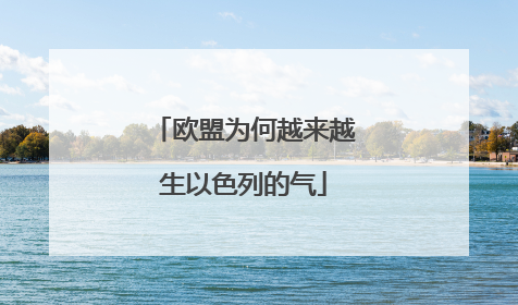 欧盟为何越来越生以色列的气