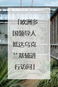 欧洲多国领导人抵达乌克兰基辅进行访问