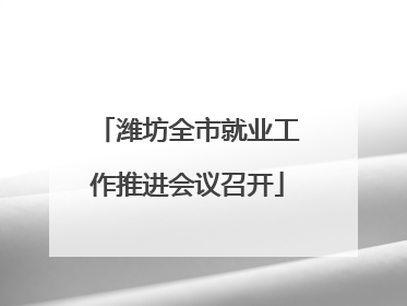 潍坊全市就业工作推进会议召开