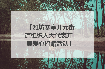 潍坊寒亭开元街道组织人大代表开展爱心捐赠活动