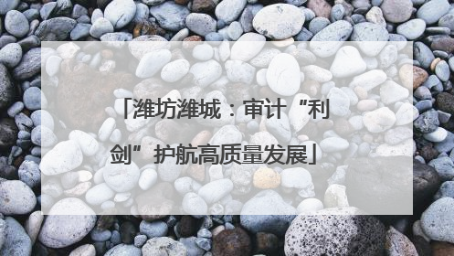 潍坊潍城：审计“利剑”护航高质量发展