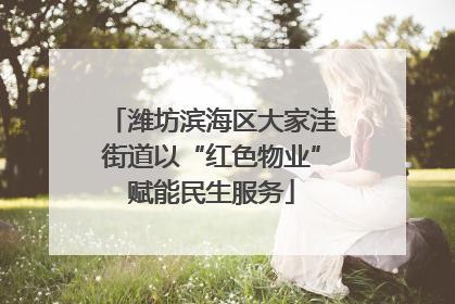 潍坊滨海区大家洼街道以“红色物业”赋能民生服务