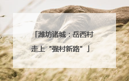 潍坊诸城：岳西村走上“强村新路”