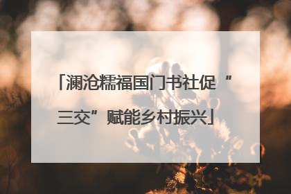 澜沧糯福国门书社促“三交”赋能乡村振兴