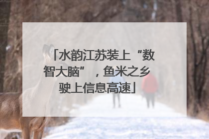 水韵江苏装上“数智大脑”，鱼米之乡驶上信息高速