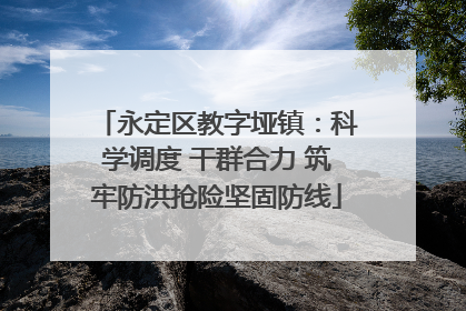 永定区教字垭镇：科学调度 干群合力 筑牢防洪抢险坚固防线