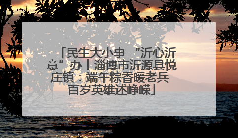 民生大小事 “沂心沂意”办丨淄博市沂源县悦庄镇：端午粽香暖老兵 百岁英雄述峥嵘