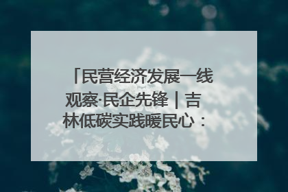 民营经济发展一线观察·民企先锋｜吉林低碳实践暖民心：太阳能供暖技术为北方清洁取暖破局