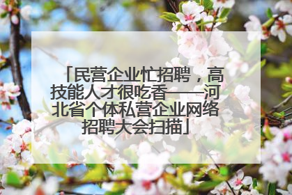民营企业忙招聘，高技能人才很吃香——河北省个体私营企业网络招聘大会扫描