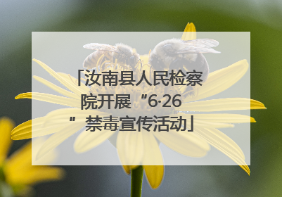 汝南县人民检察院开展“6·26”禁毒宣传活动